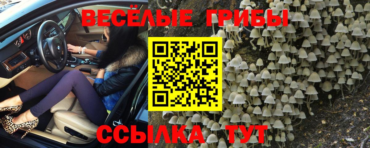 Псилоцибиновые грибы Cubensis  Вход с VPN  дарнет шоп  Артём 
