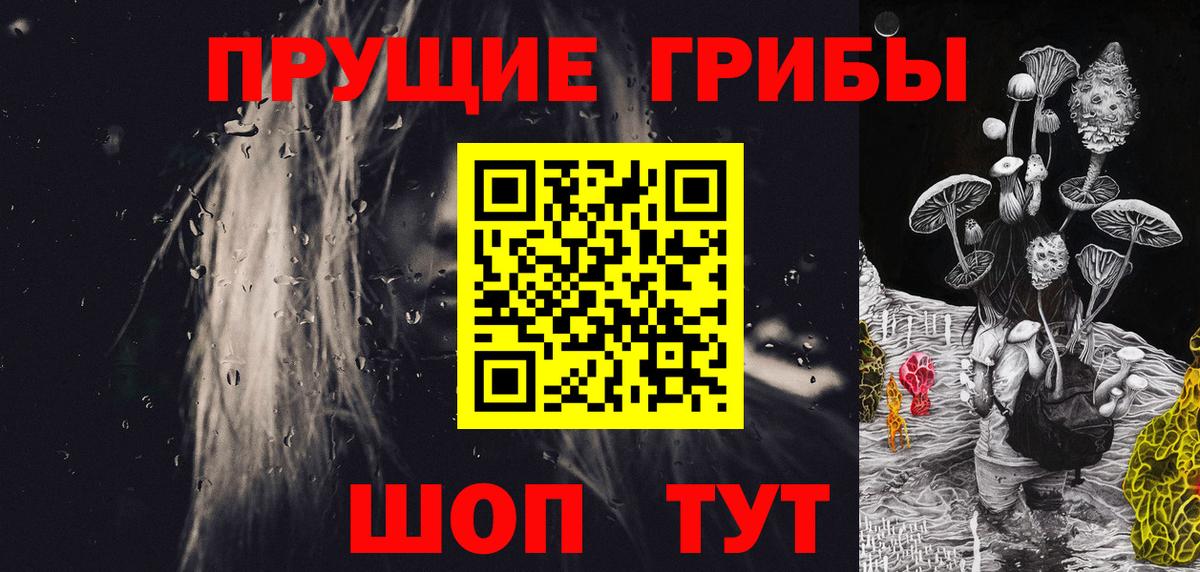 Псилоцибиновые грибы Cubensis Артём