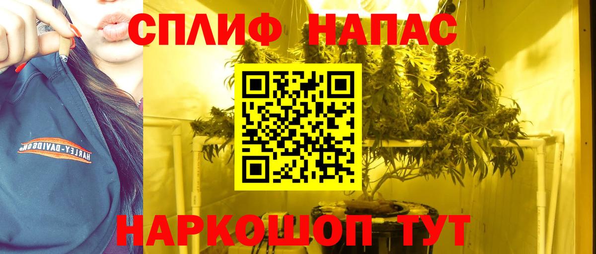 Артём  Каннабис индика  Марихуана тримм  Вход с VPN 